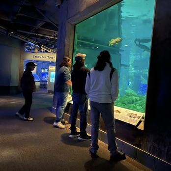 Monterey Bay Aquarium - Aquariums Near Me - Monterey, California Monterey Bay Aquarium - Aquariums Near Me - Monterey, California