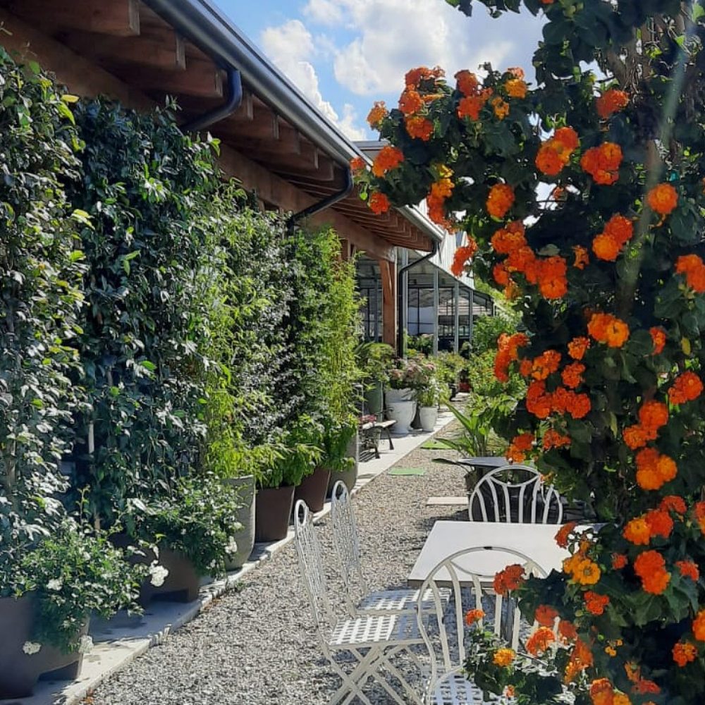 THE BEST 10 REAL ESTATE near VIA TRIPIO 50, 66016 GUARDIAGRELE, ITALY -  Updated 2026 - Hours - Yelp, image size:1000x1000