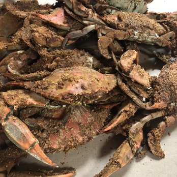 Ocean Pride Seafood - Crabs! - Seafood Near Me - Lutherville, Maryland Ocean Pride Seafood - Crabs! - Seafood Near Me - Lutherville, Maryland