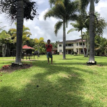 Oceanfront Legacy Vacation Rental - Vacation Rentals Near Me - Hakalau, Hawaii