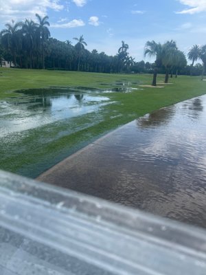 Miami Beach Golf Club by null