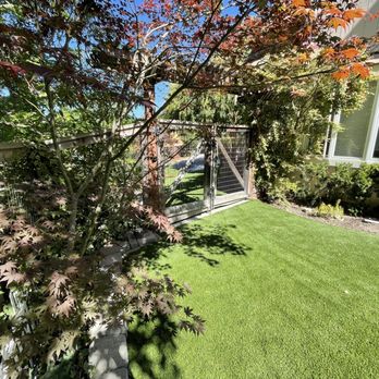 Unique Paver Stones - a lawn with a tree in the foreground - Masonry/Concrete Near Me Unique Paver Stones - a lawn with a tree in the foreground - Masonry/Concrete Near Me