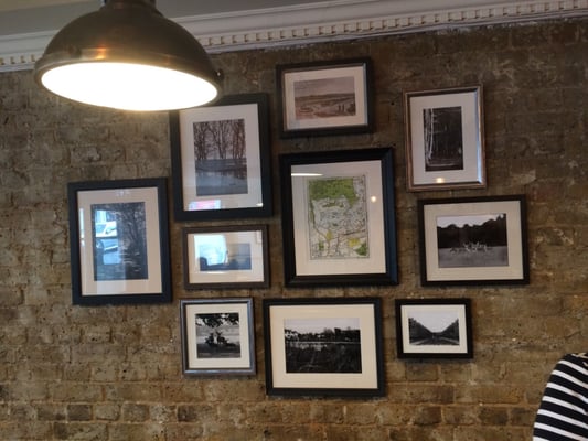 The Old Fields by null