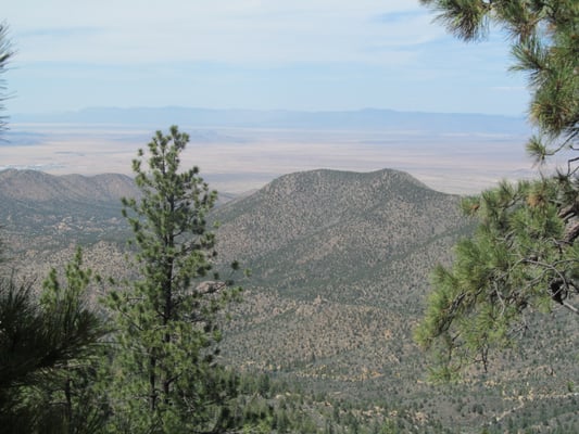 Hualapai Mountain Park Campground by null