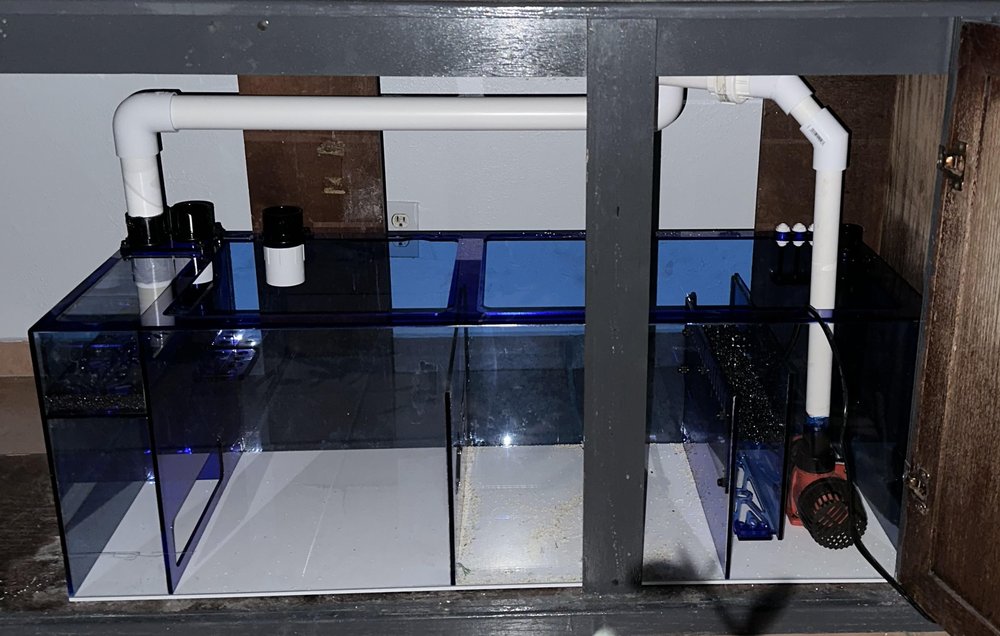 TRIDENT’S COVE 19 Photos Mesa, Arizona Aquarium Services Phone