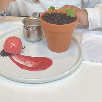 Spot Dessert Bar - Cheesecake in a pot - Desserts Near Me - Flushing, New York Spot Dessert Bar - Cheesecake in a pot - Desserts Near Me - Flushing, New York