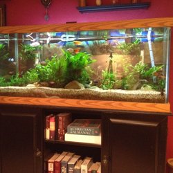 Happy Tanks