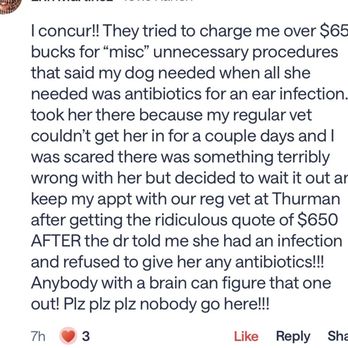4 Paws Pet Hospital - Veterinarians Near Me - Bakersfield, California