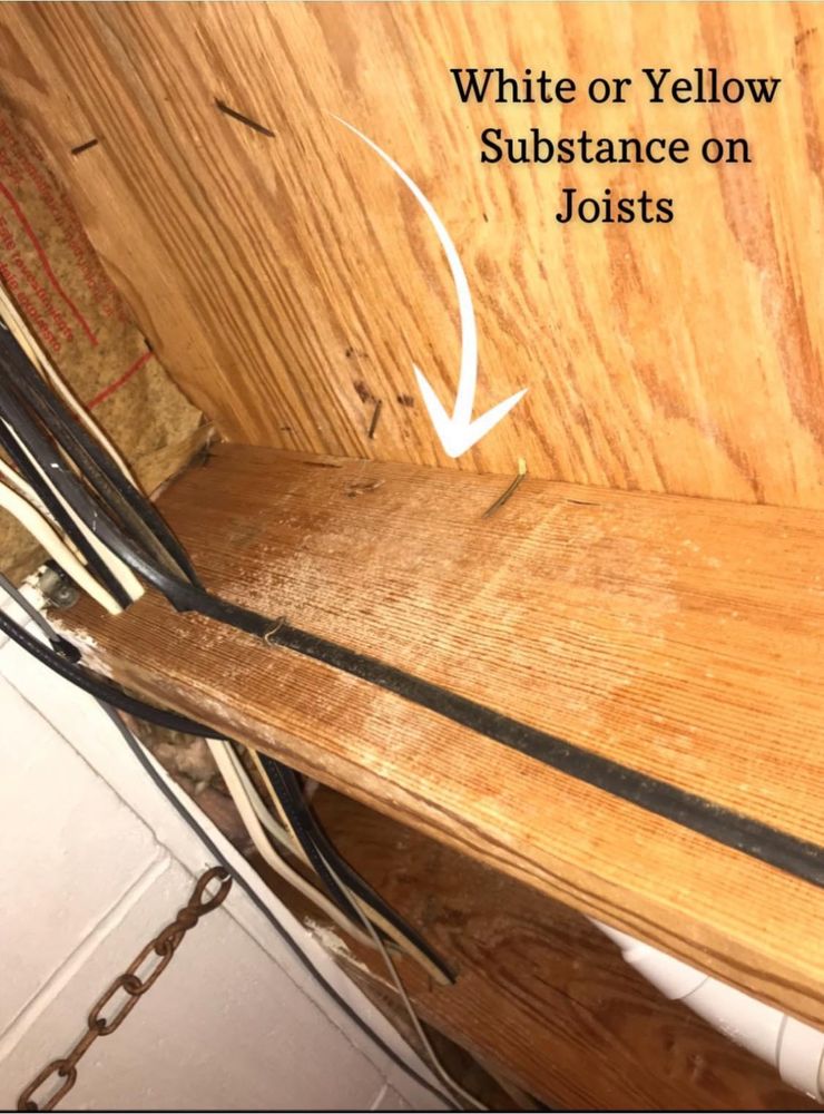 Illinois Home Solutions - mold inspector in East Peoria, IL