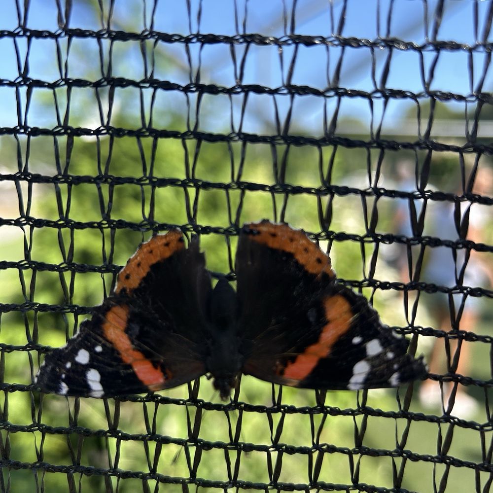 Lakeland Orchard - Butterfly house - Attraction Farms Near Me - Scott Township, Pennsylvania