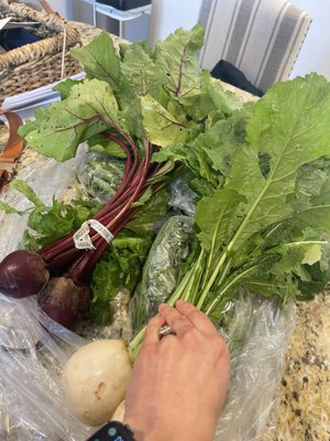 Willowsford Farm by null