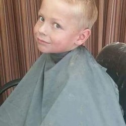 Palm Barber Shop