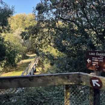 Cameron Loop Trail - Trail or bridge to Lake Chabot - Hiking Near Me - Castro Valley, California