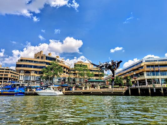 Georgetown Waterfront Park by null