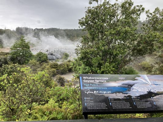 Te Puia - Rotorua, NZ by null