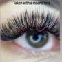 Photo of Lash My World