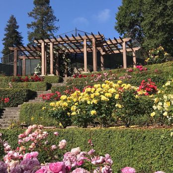 The Berkeley Rose Garden - Botanical Gardens Near Me - Berkeley, California The Berkeley Rose Garden - Botanical Gardens Near Me - Berkeley, California