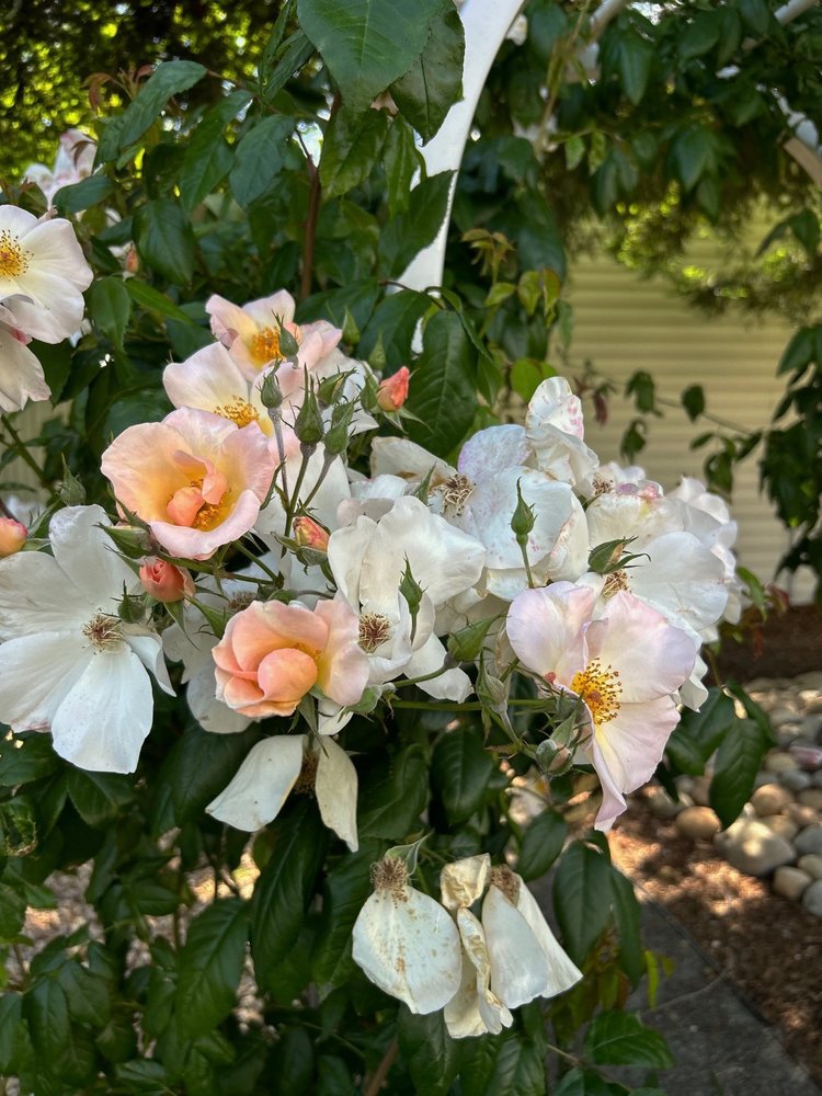 HACIENDA MOBILE HOME PARK Updated September 2024 11 Photos 3231