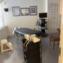 Photo of Reisterstown Family Chiropractic