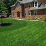 Create My Lawn