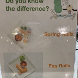 This is a Spring Roll!!!!!!