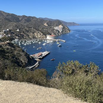 Avalon Local Tours - Beautiful vistas all along the way - Tours Near Me