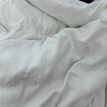 Krystal Cancún - blood on my bed - Resorts Near Me - Cancún, ROO Krystal Cancún - blood on my bed - Resorts Near Me - Cancún, ROO