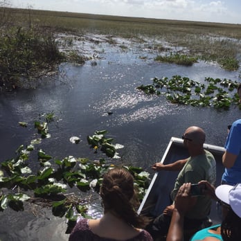 Airboat In Everglades - See the gator ? Look in the middle. - Boat Tours Near Me - Miami, Florida Airboat In Everglades - See the gator ? Look in the middle. - Boat Tours Near Me - Miami, Florida