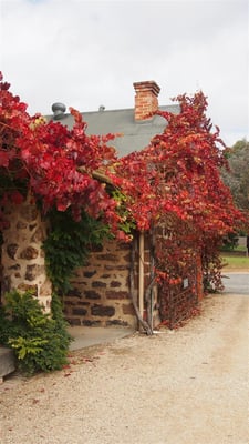 Langmeil Winery - Home of Barossa Valley's Oldest Shiraz Vineyard by null