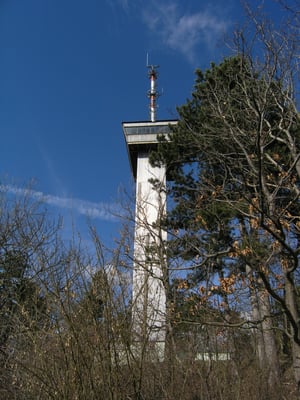 Restaurant Landgrafen by null