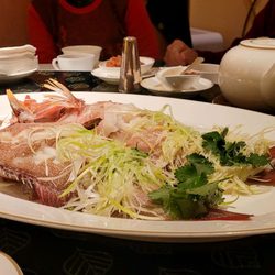 金葉庭