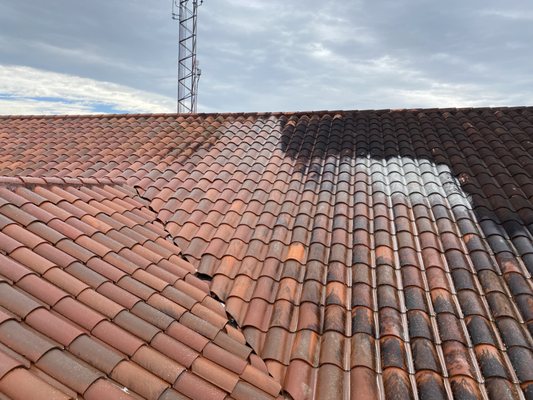 Compatible Outdoor Cleaning Solutions Logo