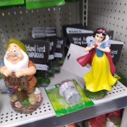 Dollar General