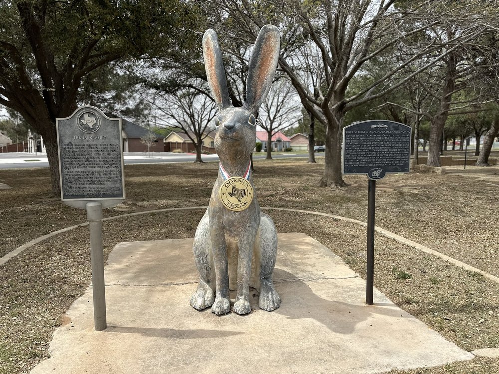 WORLD’S LARGEST JACKRABBIT Updated May 2024 11 Photos 802 N Sam