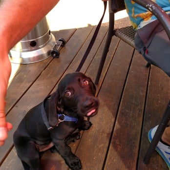 Red Zeppelin Pizza - Dog friendly patio! - Pizza Near Me - Baton Rouge, Louisiana Red Zeppelin Pizza - Dog friendly patio! - Pizza Near Me - Baton Rouge, Louisiana