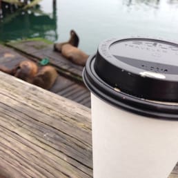 Coffee & sea lions! Coffee & sea lions!