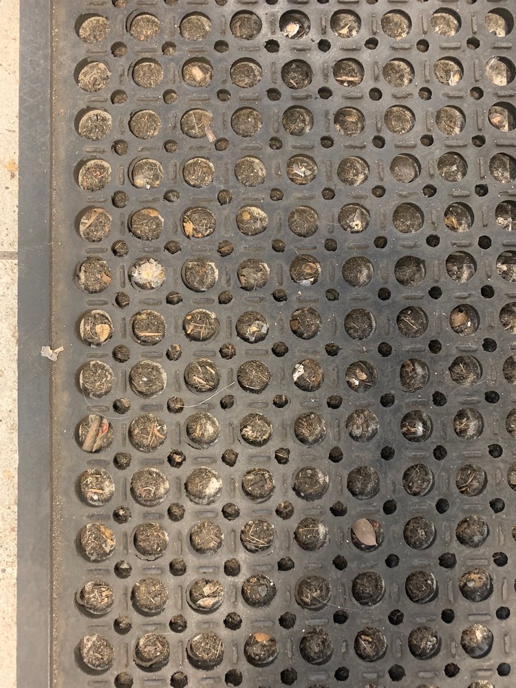 WINDWARD AUTO SPA Updated September 2024 80 Photos & 135 Reviews