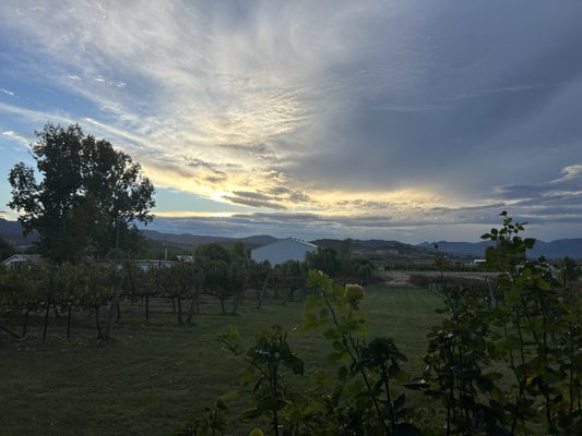 Edenvale Winery by null