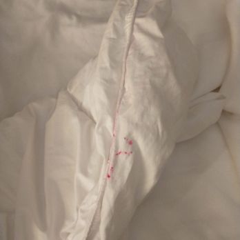 Best Western Milton Inn - Little pink stain here cost me 70$$ because they supposedly couldn't get it out with bleach n hit water - Hotels Near Me - Milton, Florida