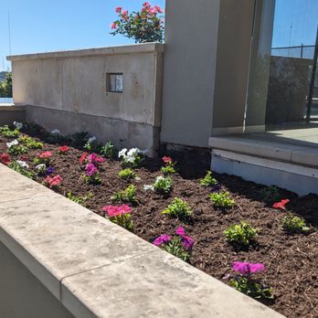 Zazu Landscaping - Landscaping Near Me - Austin, Texas Zazu Landscaping - Landscaping Near Me - Austin, Texas