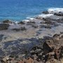 Photo of Fisherman's Trail/kapihaa Trail Hike
