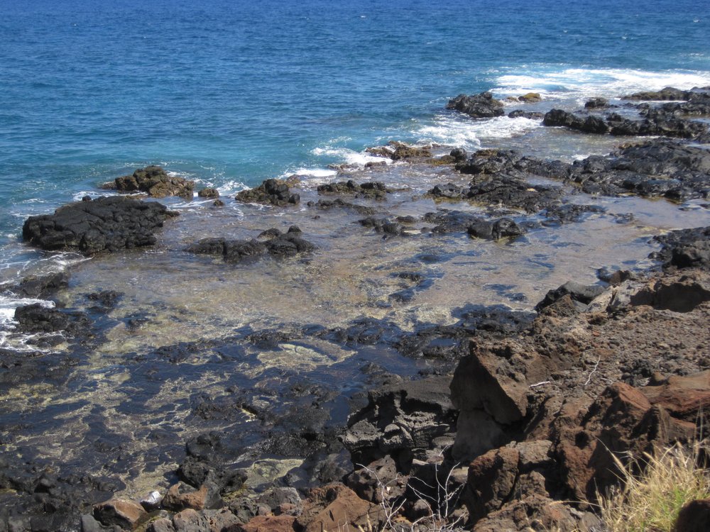 Fisherman's Trail/kapihaa Trail Hike Logo