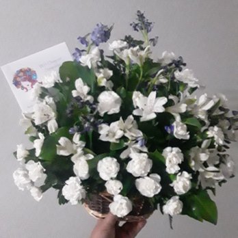 Social Butterfly Florist - Flowers - Florists Near Me - Euless, Texas Social Butterfly Florist - Flowers - Florists Near Me - Euless, Texas
