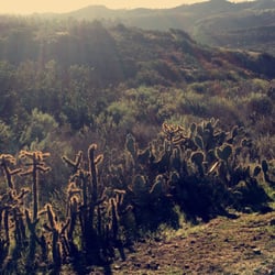 Lizard Rock via Canyon Overlook Trail - Beauty Everywhere