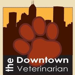 The Downtown Veterinarian
