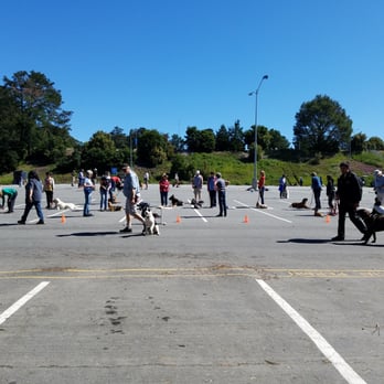 San Bruno Dog Obedience School - Pet Training Near Me - San Mateo, California San Bruno Dog Obedience School - Pet Training Near Me - San Mateo, California