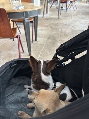 La Cuisine de la Fontaignotte by null