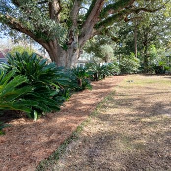 Topless Lawn Care - After - Lawn Services Near Me - Florala, Alabama Topless Lawn Care - After - Lawn Services Near Me - Florala, Alabama