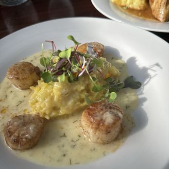 Mirella’s Tavern - Pan Seared Jumbo Scallops and Peri Peri Roasted Chicken so good! - Italian Near Me - Chicago, Illinois Mirella’s Tavern - Pan Seared Jumbo Scallops and Peri Peri Roasted Chicken so good! - Italian Near Me - Chicago, Illinois