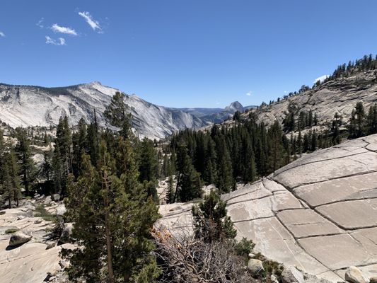 Tunnel View by null